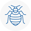 Bed Bug Extermination In Molesey
