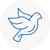 Bird Prevention Molesey