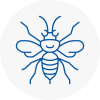 Molesey Hornet Nest Removals