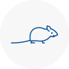 Mice Exterminators In Molesey
