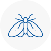 Moth Control Specialists In Molesey