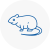 Rat Control Molesey