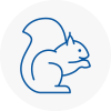 Molesey Rodent Removals